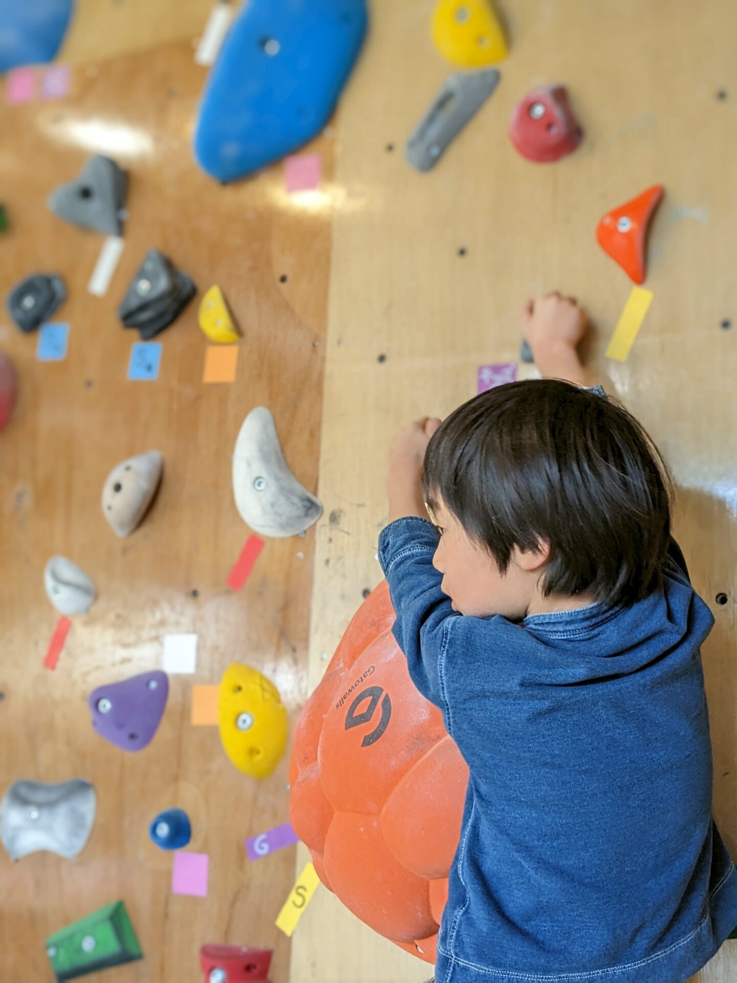 No.18キッズボルダリング（1年生～3年生）